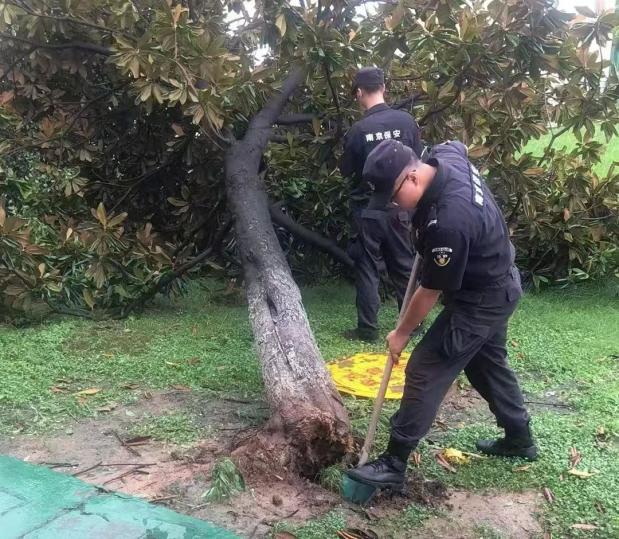 C:/Users/BA/Desktop/風(fēng)雨過后南京保安迅速行動(dòng)，恢復(fù)安“寧”面貌/10.jpg10